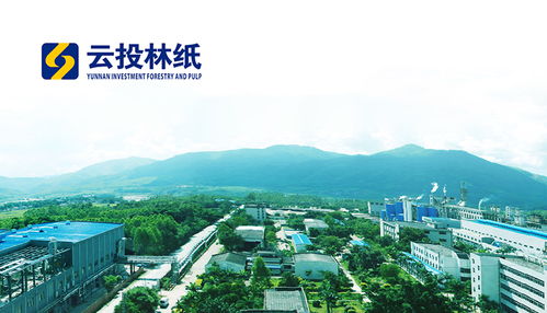 昆明網絡科技巨頭 奧遠科技與頂播科技引領行業創新