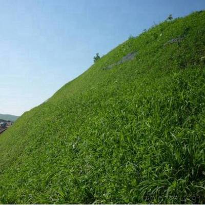 噴播植草 云南昆明礦山生態修復工程用的植草護坡單價 成本低 全國施工